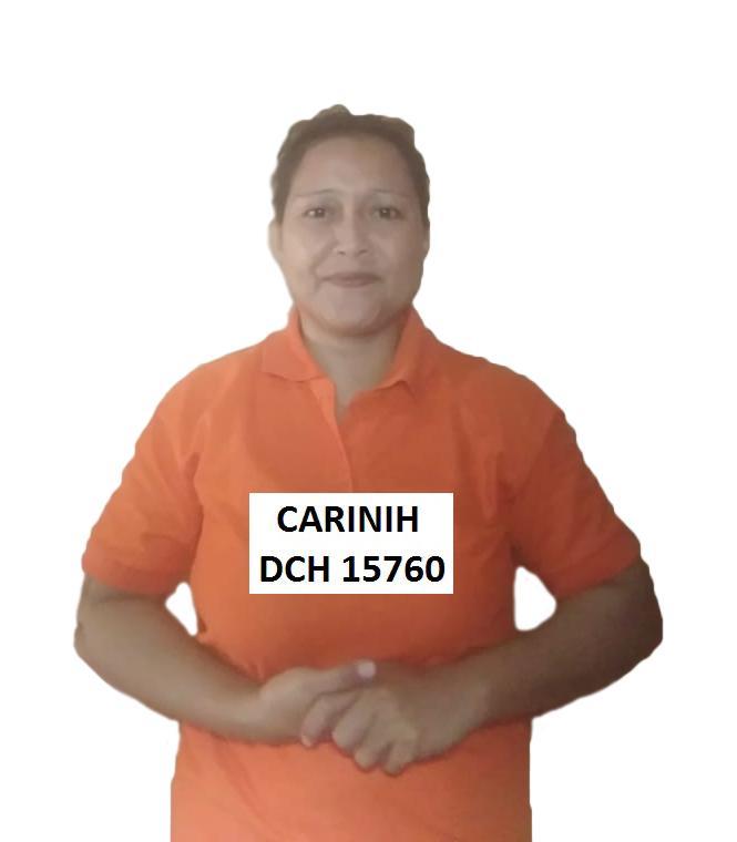 Indonesia Helper CARINIH