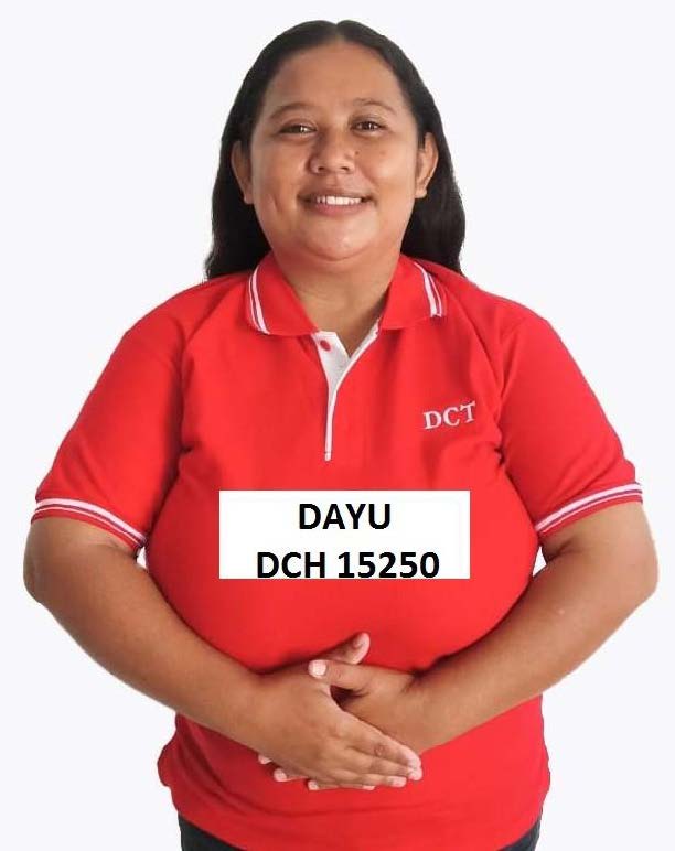 Indonesia Helper DAYU